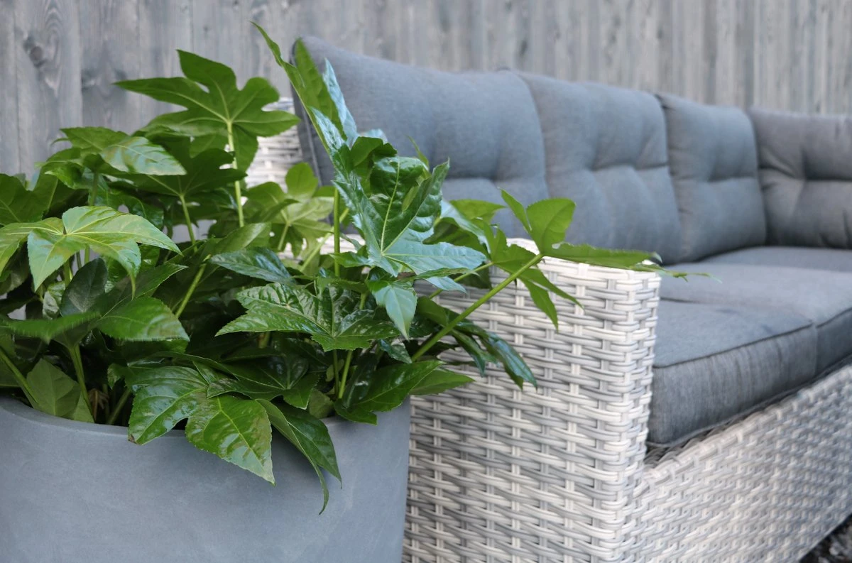 Merkloos Rivièra | Loungeset Hoekset Dining Set Tuinset | Wicker | Hoekbank, Hoge Tuintafel, 2 Hockers | 6 Zitplaatsen 2 Merkloos Rivièra | Loungeset Hoekset Dining Set Tuinset | Wicker | Hoekbank, Hoge Tuintafel, 2 Hockers | 6 Zitplaatsen - Afbeelding 2