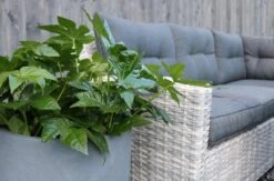 Merkloos Rivièra Original | Loungeset Hoekset Dining Set Tuinset | Wicker | Hoekbank, Hoge Tuintafel, 2 Hockers | 6 Zitplaatsen 6 Merkloos Rivièra Original | Loungeset Hoekset Dining Set Tuinset | Wicker | Hoekbank, Hoge Tuintafel, 2 Hockers | 6 Zitplaatsen -Optimaal Tuinmeubel Winkel 1200x793 5