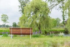 MaximaVida Tuinbank Budapest Oil 170 Cm - Uit Exclusief Mahoniehout 15 MaximaVida Tuinbank Budapest Oil 170 Cm - Uit Exclusief Mahoniehout -Optimaal Tuinmeubel Winkel 1200x800 102