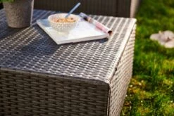 Central Park Hoekbank Loungeset Alea Grijs Staal/riet 3-delig 15 Central Park Hoekbank Loungeset Alea Grijs Staal/riet 3-delig -Optimaal Tuinmeubel Winkel 1200x800 219