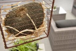 Garden Impressions Montana Loungeset - Organic Grey -Optimaal Tuinmeubel Winkel 1200x801 13