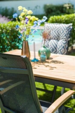 Hartman Alice Verstelbare Tuinstoel - Grijs -Optimaal Tuinmeubel Winkel 800x1200 12