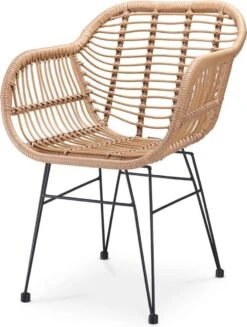 Casaria Polyrotan Kuipstoel Bali - Met Kussens – 2 Stuks -Optimaal Tuinmeubel Winkel 907x1200